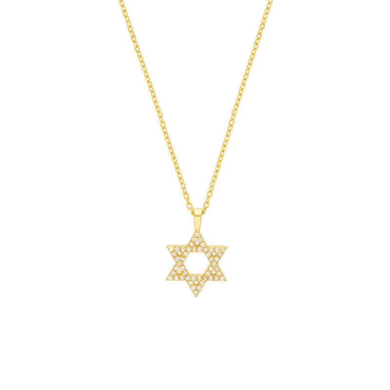 14K Gold Diamond Star of David Necklace