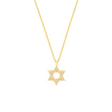 14K Gold Diamond Star of David Necklace