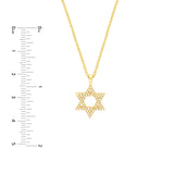 14K Gold Diamond Star of David Necklace