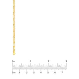 14K Gold Oval and Round Link Chain Necklace