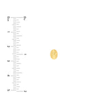 14K Gold Fluted Oval Stud Earrings