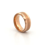 The Sebastian Tungsten Band