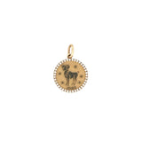 14K Gold Horoscope Pendant With Chain