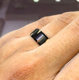 The Dennis Tungsten Band