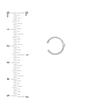 14K Gold Ear Cuffs with Diamond