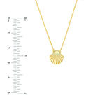 14K Gold Seashell Pendant Necklace