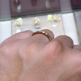 The Nathan Tungsten Band