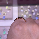 The Sebastian Tungsten Band