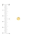 14K Gold Round Pebble Stud Earrings