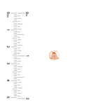 14K Gold Cushion Pebble Stud Earrings