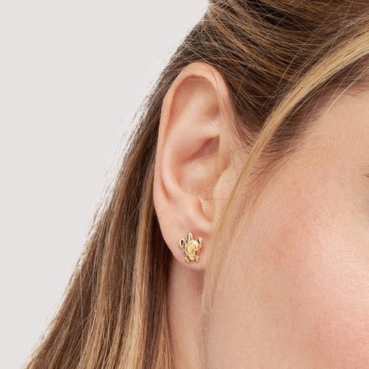 14K Gold Sea Turtle Stud Earrings