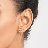 14K Gold Shark Tooth Stud Earrings