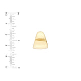 14K Gold Semi Hoop Earrings