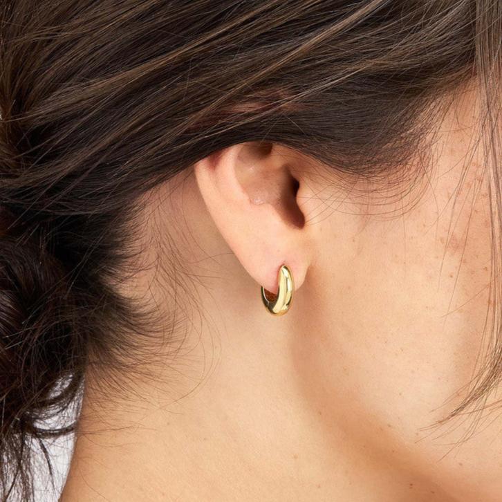 14K Gold Polished Hoop Earrings