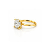 14K Gold 3.00 Carat Round Cut Lab Grown Diamond Solitaire Engagement Ring with Under Halo
