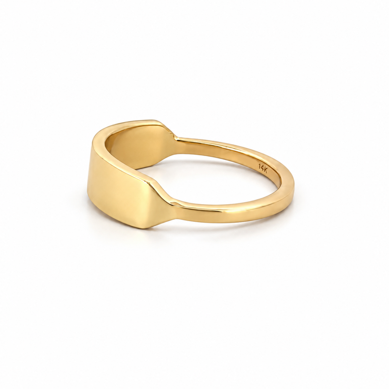 14K Gold Wide Personalized ID Ring
