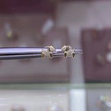 14K Gold Dog Earrings