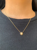 14K Gold Flower Diamond Necklace