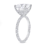 Diamond Double Under Halo Ring w/ 4 Carat