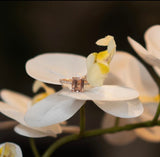 emerald cut morganite ring on flower petal